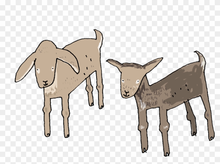 Kids Transparent Goat - Goat, HD Png Download - 1017x700(#5527634 ...