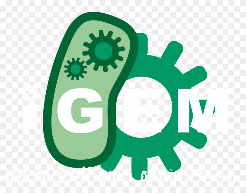 From 2011 - Igem - Org - International Genetically Engineered Machines ...