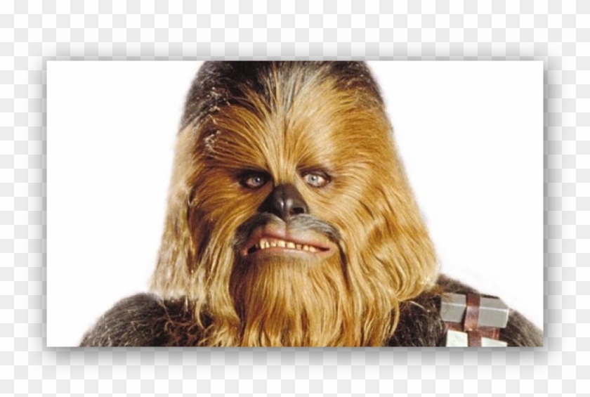 chewy star wars