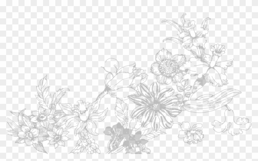 Flores Boda Sketch Hd Png Download 1250x619 561013 Pngfind