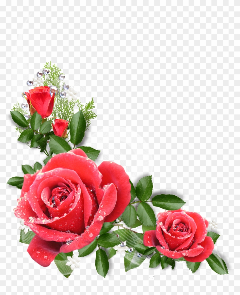 Publicado Por Pazenlatormenta - Flores Png, Transparent Png - 1420x1600(#5622782) - PngFind Publicado Por Pazenlatormenta - Flores Png, Transparent Png - 1420x1600(#5622782) - PngFind