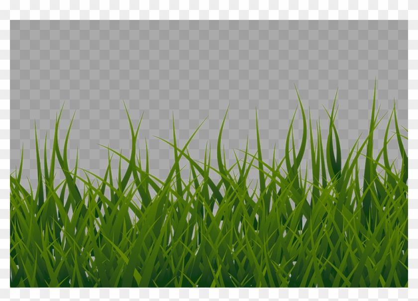 Grass Clipart No Background - bmp-system
