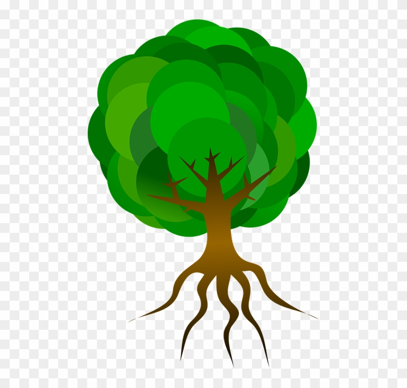 Tree Branches Roots Skeleton Plant Leaves Nature Cartoon Tree Roots Hd Png Download 478x7 Pngfind
