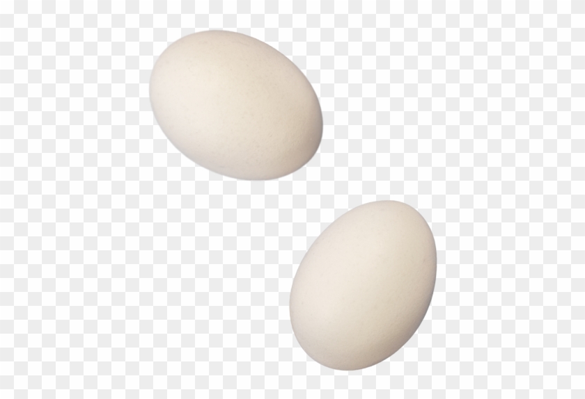 eggs PNG transparent image download, size: 2400x2131px