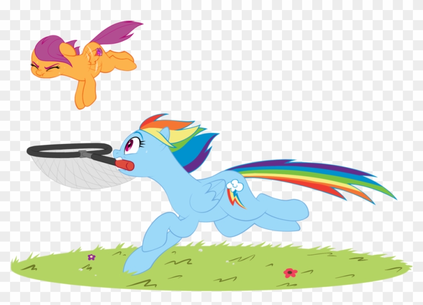 butterfly cutie mark