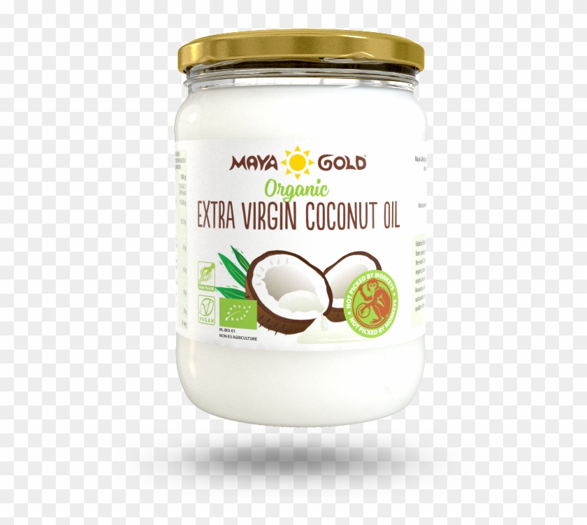 Leer Wijzer Verslinden Extra Virgin Coconut Oil - Maya Gold Organic Extra Virgin Coconut Oil, HD  Png Download - 538x720(#5667320) - PngFind
