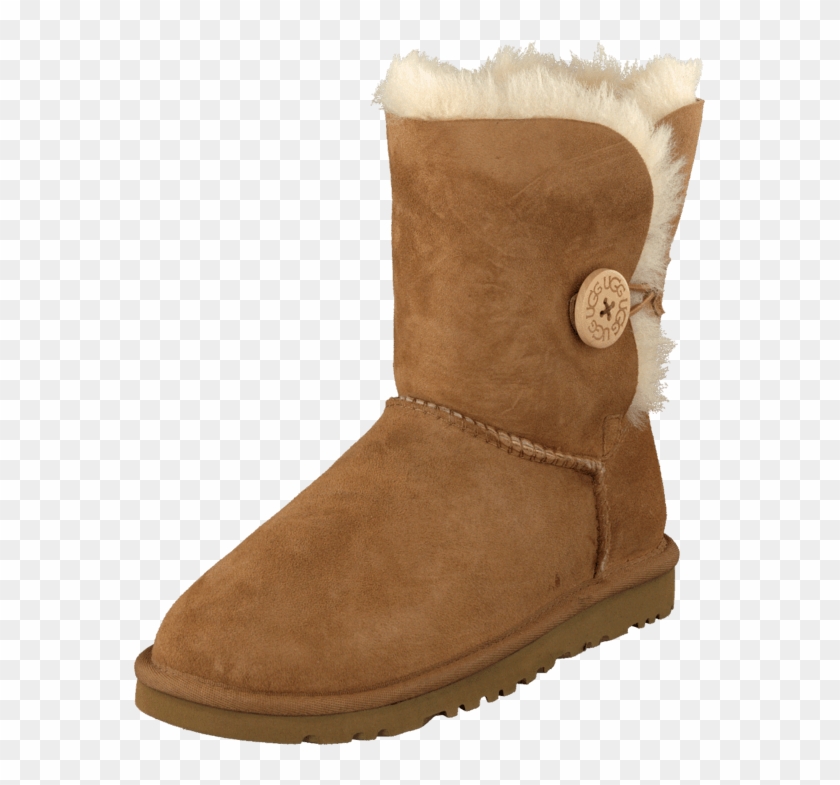 bear ugg boots