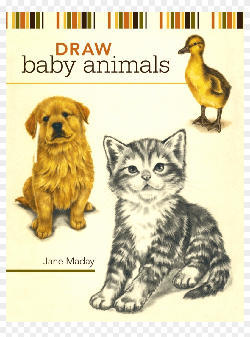 Draw Baby Animals دانلود کتاب طراحی حیوانات Hd Png Download 1500x1500 Pngfind Draw Baby Animals دانلود کتاب طراحی حیوانات Hd Png Download 1500x1500 Pngfind