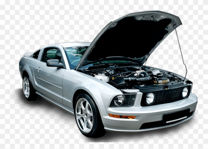 On a car's hood Telegraph