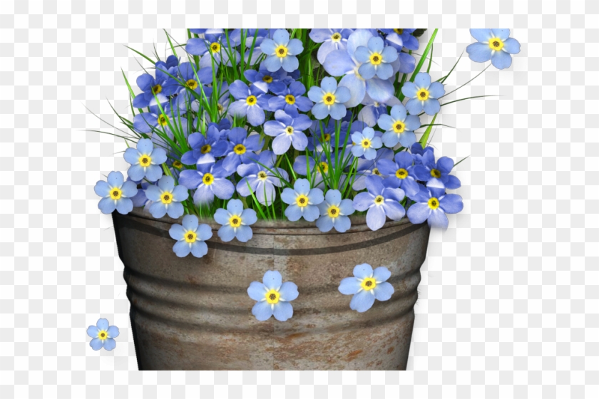 Forget Me Not Clipart Transparent Laminas Hadas Vintage Hd Png Download 640x480 Pngfind Forget Me Not Clipart Transparent Laminas Hadas Vintage Hd Png Download 640x480 Pngfind
