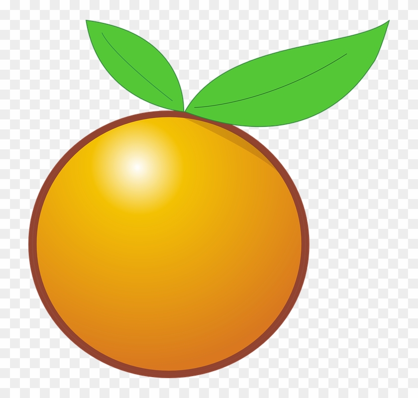 Orange, Fruit, Citrus, Healthy - Cartoon Orange, HD Png Download -  726x720(#5738968) - PngFind