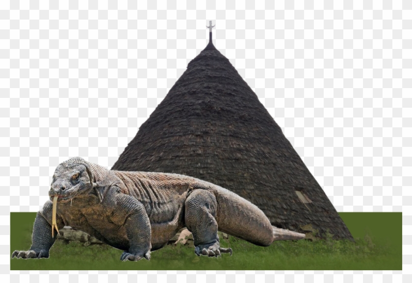 Resultado de imagen para Komodo Island dragon png