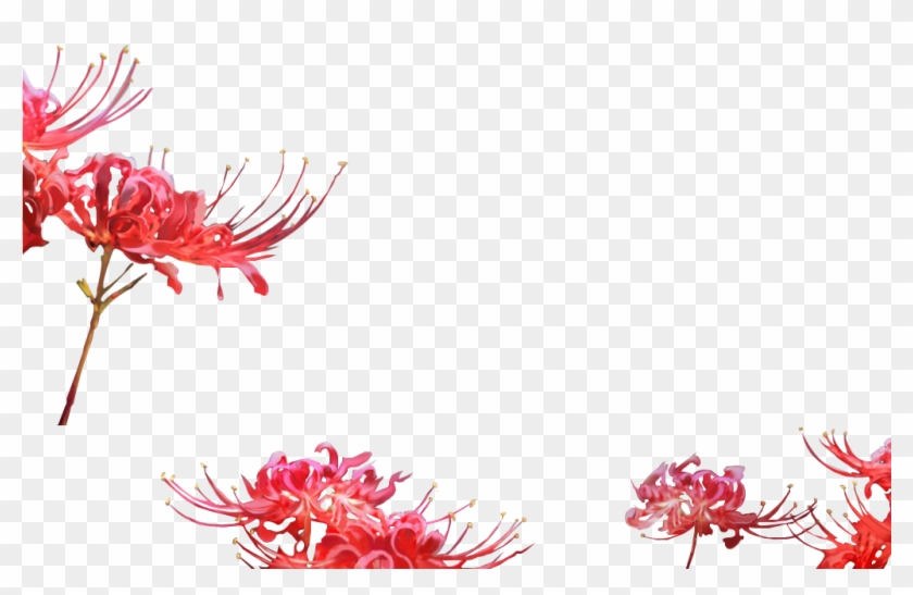 Ixora Coccinea Red Flower Petal Art PNG Clipart Anime Anti Bacterial  Art Beauty Drawing Free PNG
