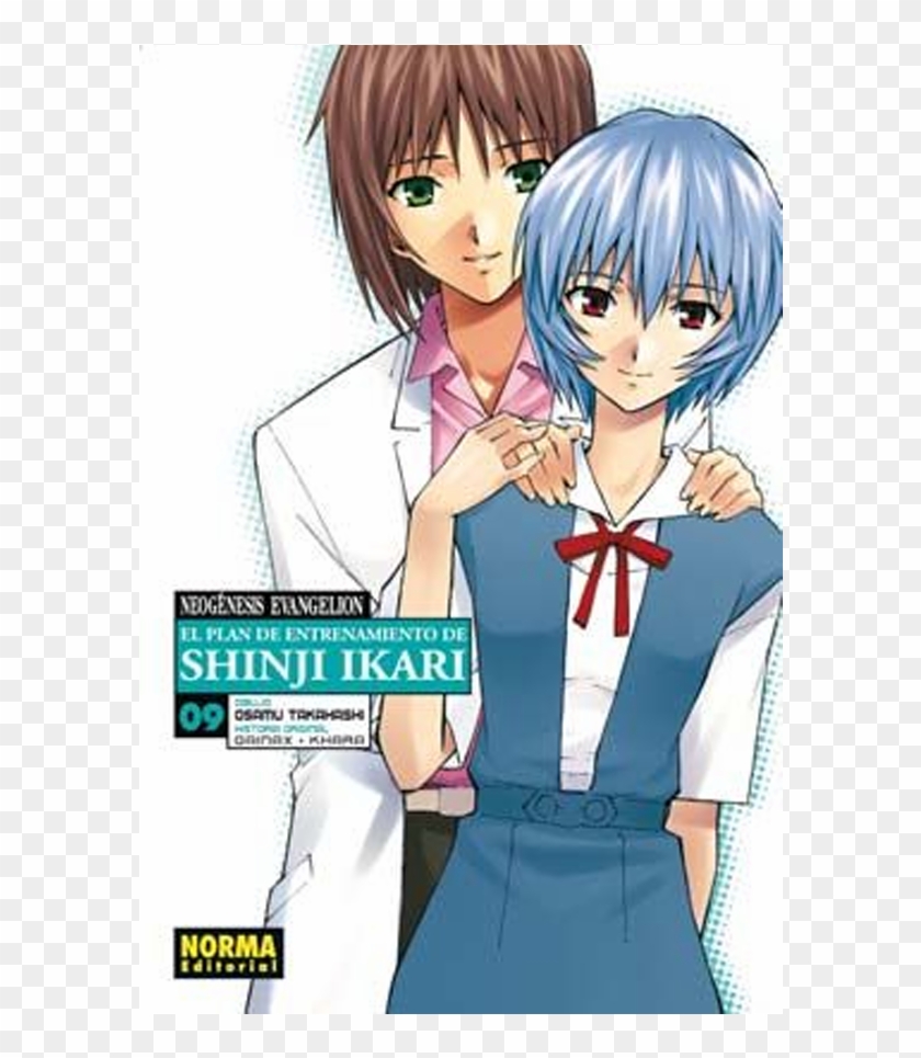 shinji and mom figure