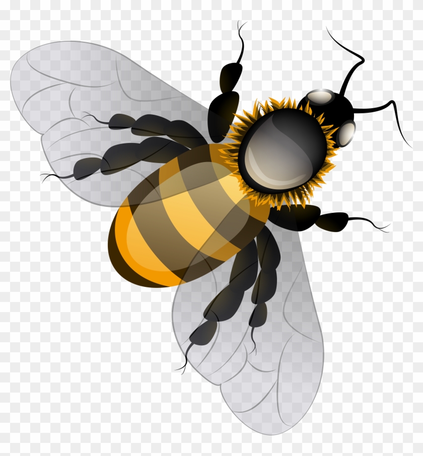 Bee Png Clip Art - Bee Sunflower Background, Transparent Png -  2907x3000(#582968) - PngFind