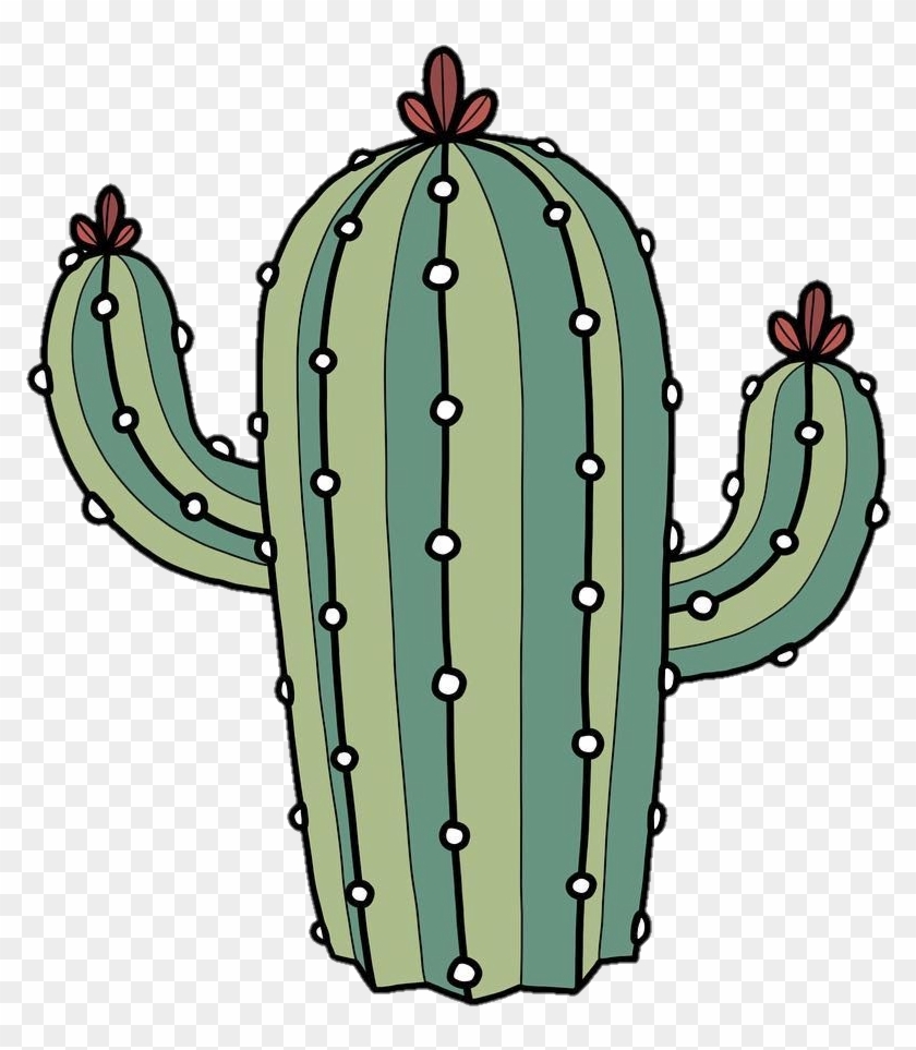 Cactus Png Tumblr Transparent Png 1004x1108 586487 Pngfind Plants my pictures cactus cacti aesthetic lazynature. cactus png tumblr transparent png
