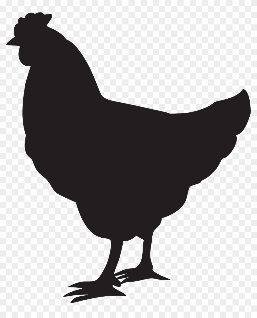 black and white chicken clipart