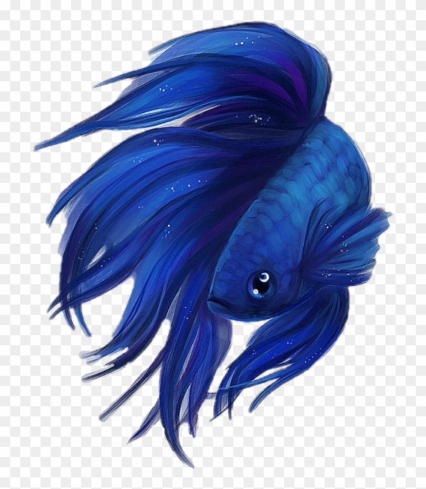 Pez Sticker - Blue Betta Fish Drawing, HD Png Download -  1024x1024(#5810643) - PngFind