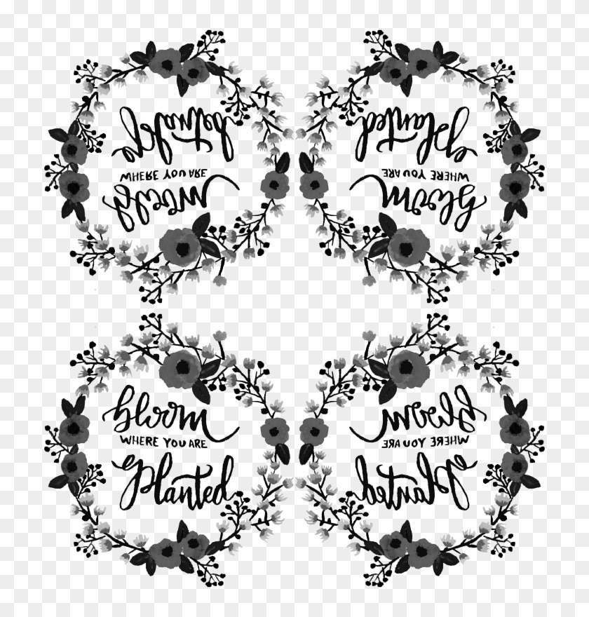 Black & White Bloom Where You Are Planted Wreath Wallpaper - Calligraphy,  HD Png Download - 728x800(#5821564) - PngFind