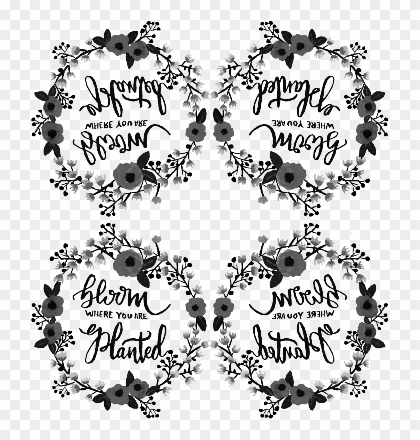 Black & White Bloom Where You Are Planted Wreath Wallpaper - Calligraphy, HD Png Download - 728x800(#5821564) - PngFind Black & White Bloom Where You Are Planted Wreath Wallpaper - Calligraphy, HD Png Download - 728x800(#5821564) - PngFind