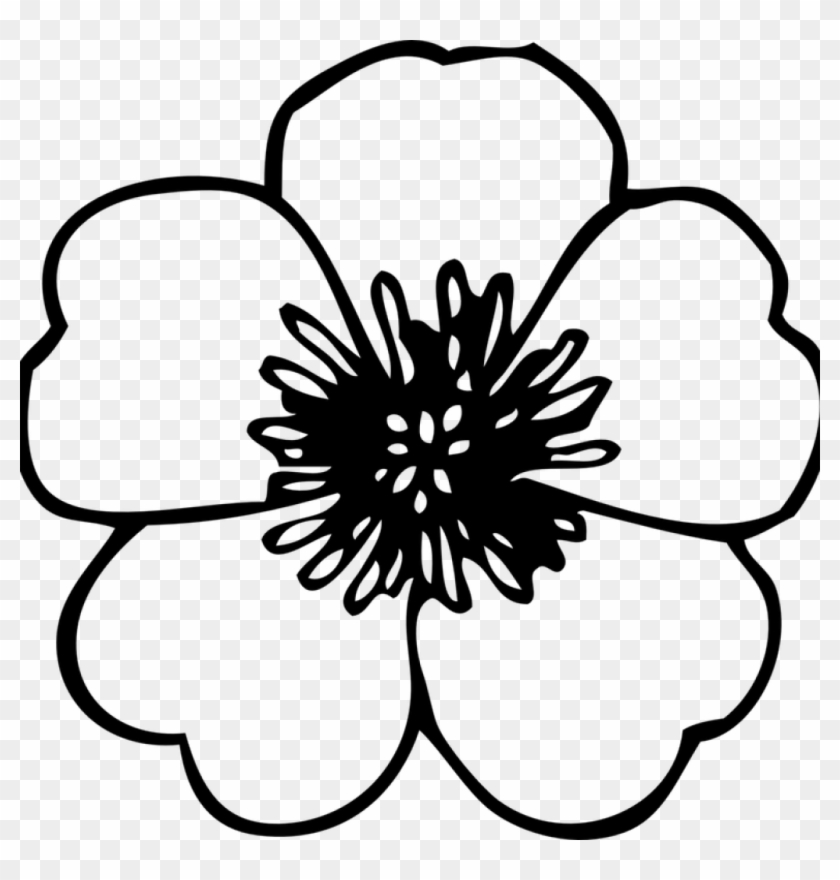 clipart spring flowers black and white drawings