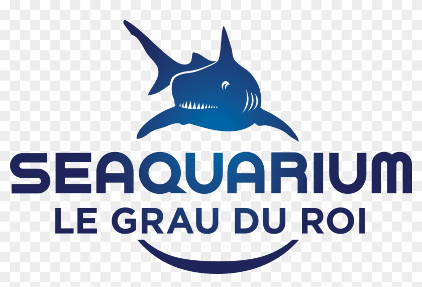 Seaquarium Logo Planet Ocean World Fish Text Png Seaquarium Grau Du Roi Logo Transparent Png 1878x1185 Pngfind Seaquarium Logo Planet Ocean World Fish Text Png Seaquarium Grau Du Roi Logo Transparent Png 1878x1185 Pngfind