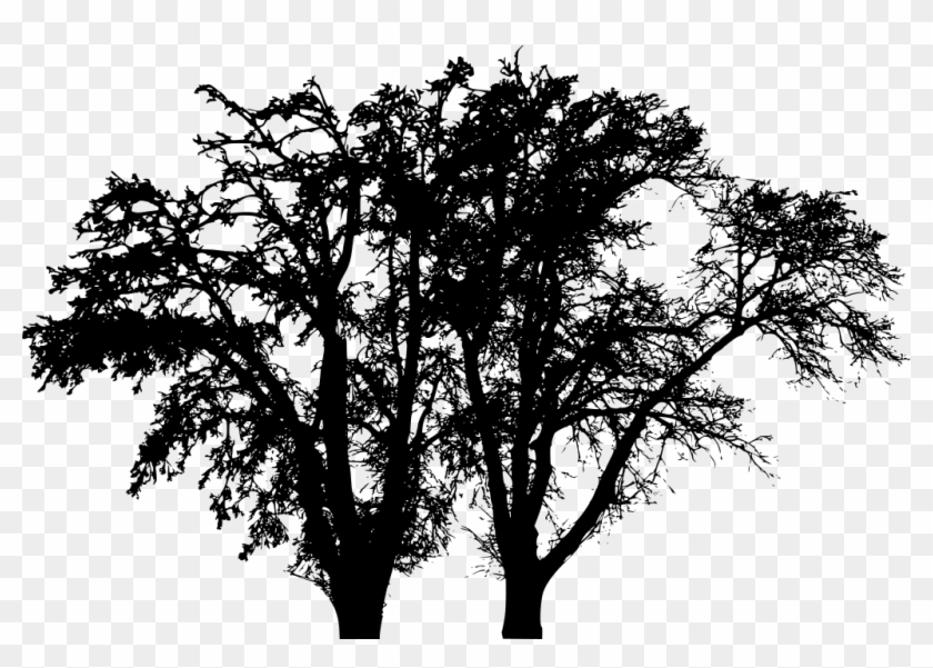 Download Png - Tree Silhouette Png Winter, Transparent Png - 1024x685