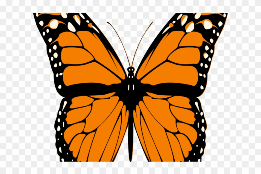Download Half Life Clipart Butterfly Monarch Butterfly Transparent Clipart Hd Png Download 640x480 5861923 Pngfind