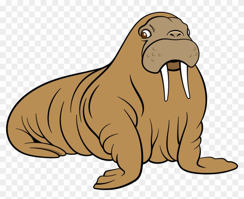 Sea Lion Dog - Sea Lion Png Cartoon, Transparent Png - 1239x955(#5876769) - PngFind Sea Lion Dog - Sea Lion Png Cartoon, Transparent Png - 1239x955(#5876769) - PngFind