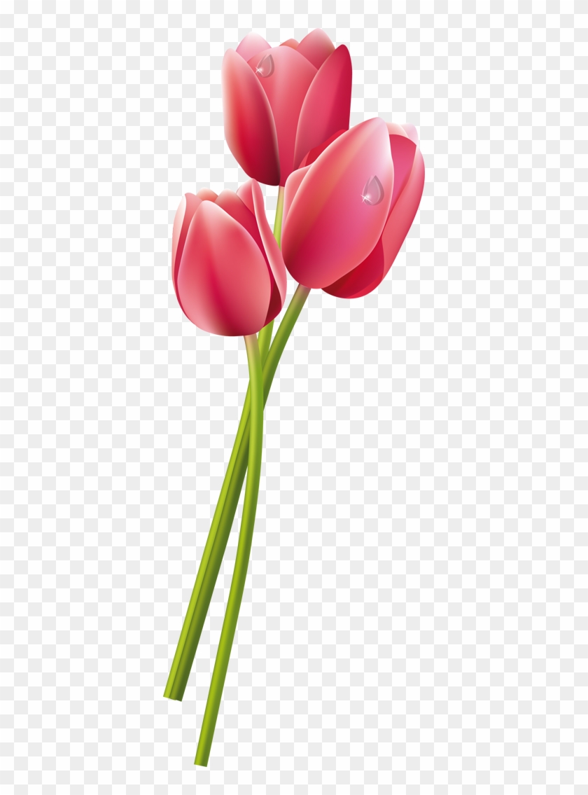 Flores Hawaianas Png - Tulips Tattoo Designs, Transparent Png -  374x1055(#5877308) - PngFind