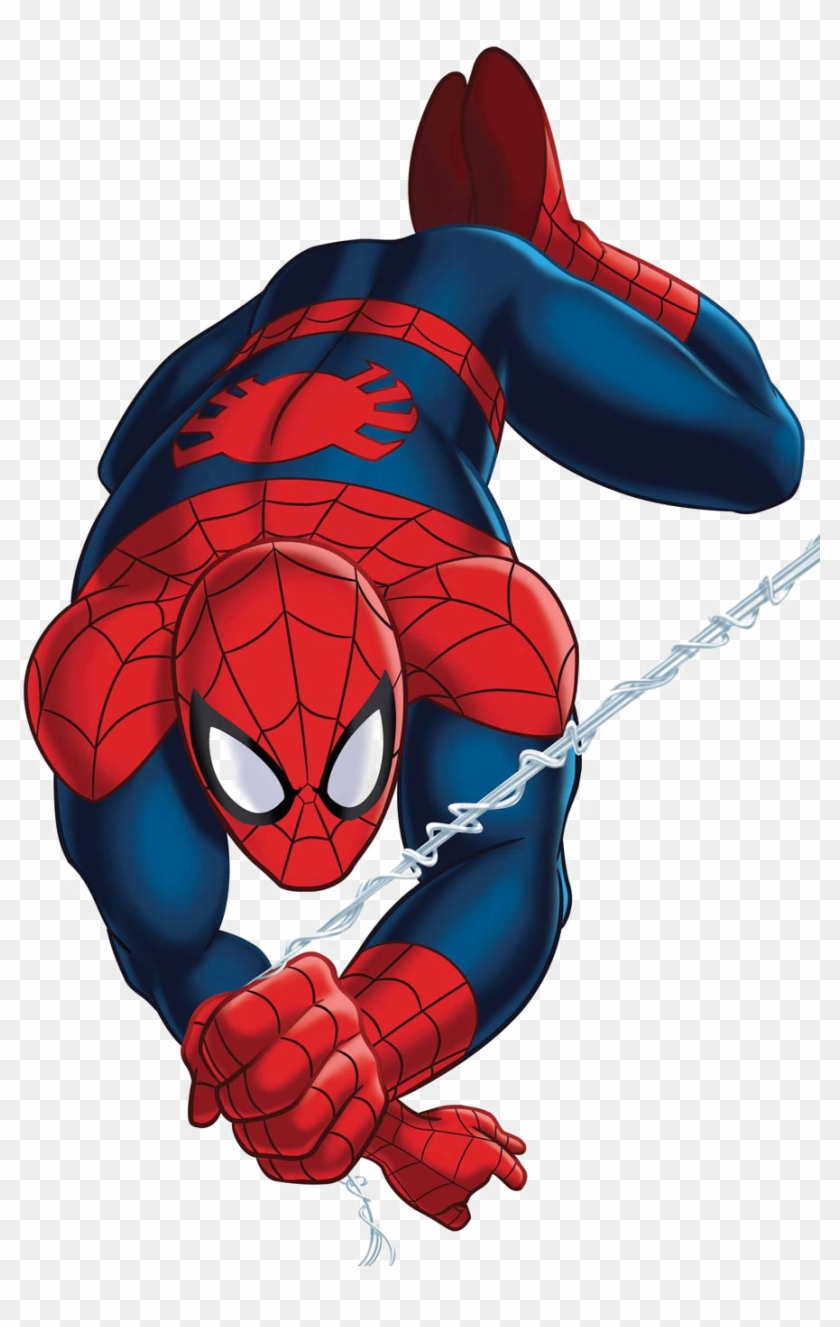 Spider-man Cartoon Download Transparent Png Image - Marvel Universe  Ultimate Spider-man, Png Download - 900x1391(#5878199) - PngFind
