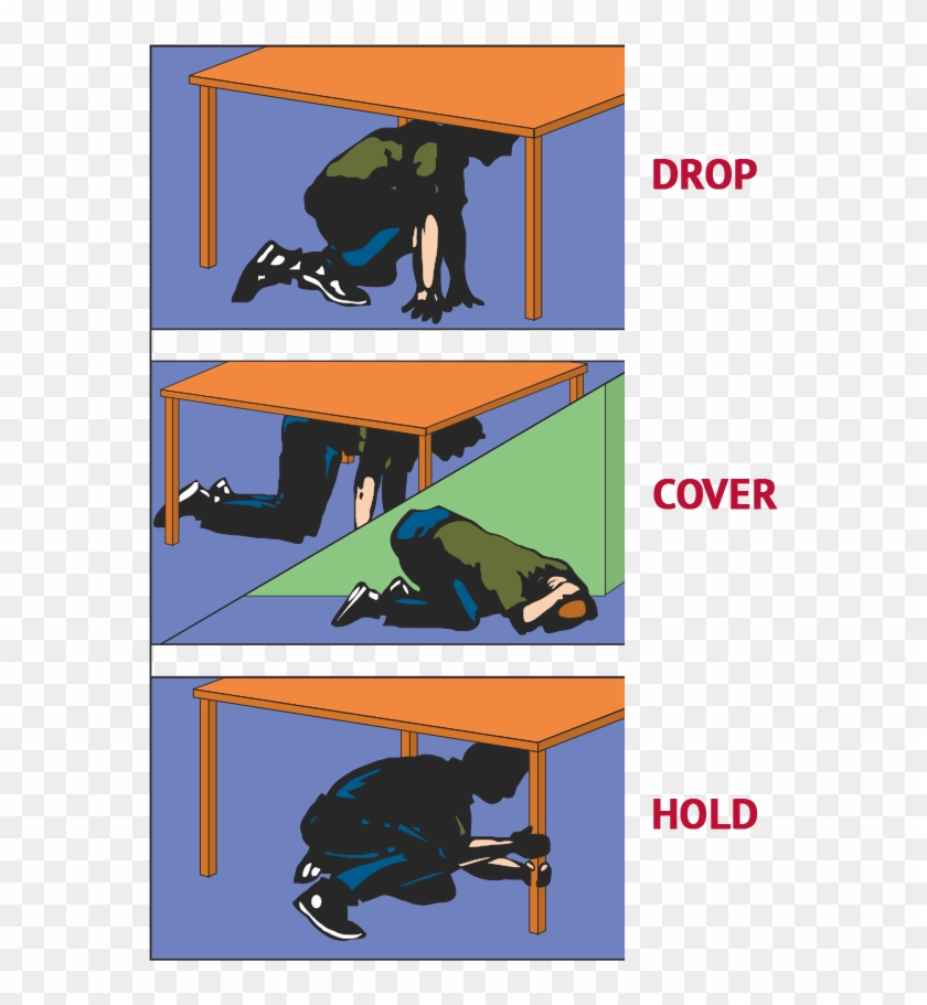 After An Earthquake - Cartoon, HD Png Download - 570x831(#5880335) - PngFind After An Earthquake - Cartoon, HD Png Download - 570x831(#5880335) - PngFind