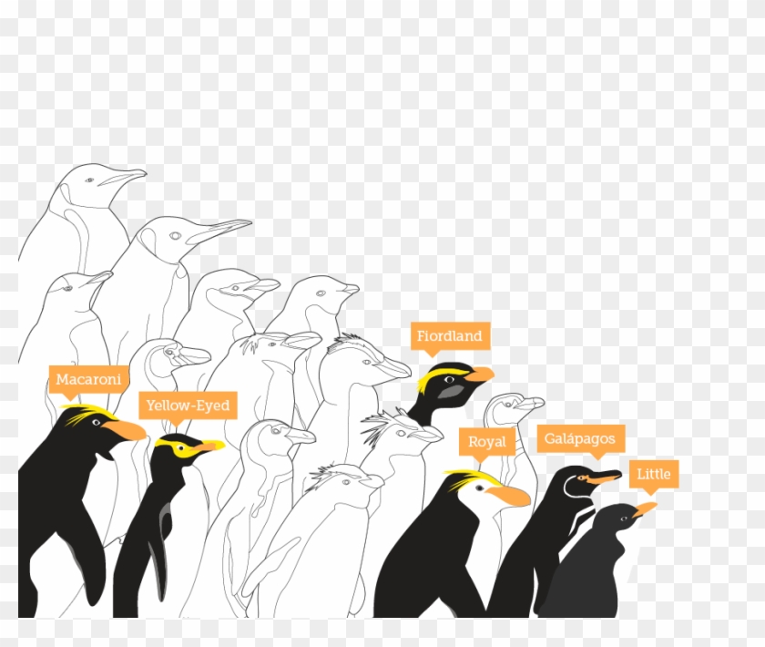 Predators - King Penguin, HD Png Download - 924x737(#5883566) - PngFind