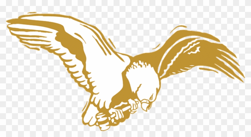 Free Png Download Golden Eagle Png Images Background Aguila De Oro Romana Transparent Png 850x426 593893 Pngfind