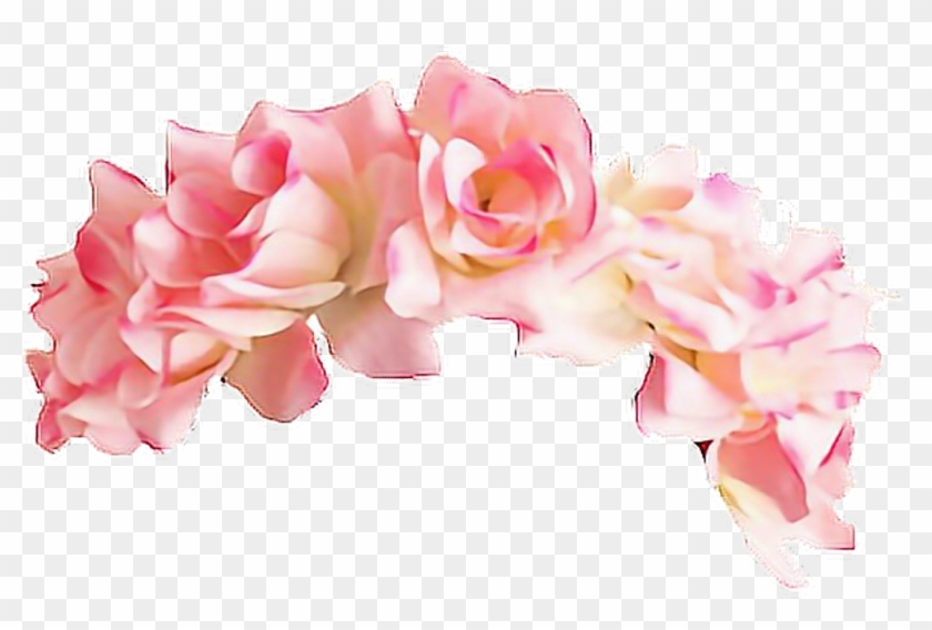 Download Flower Crown Clipart Headband - Pink Flower Crown Png ...