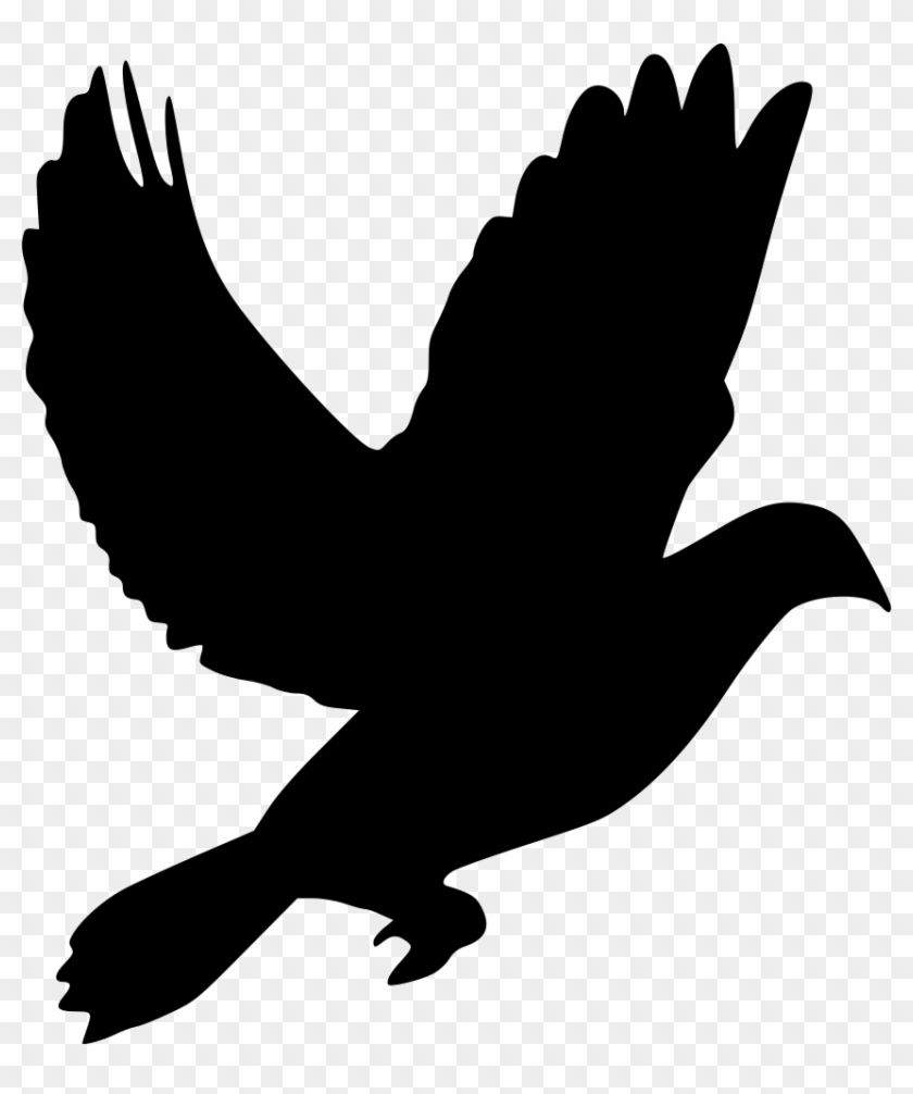 Download Svg Library Download Animal Dove Png Icon Free Download Pigeon Icon Transparent Png 852x980 599255 Pngfind