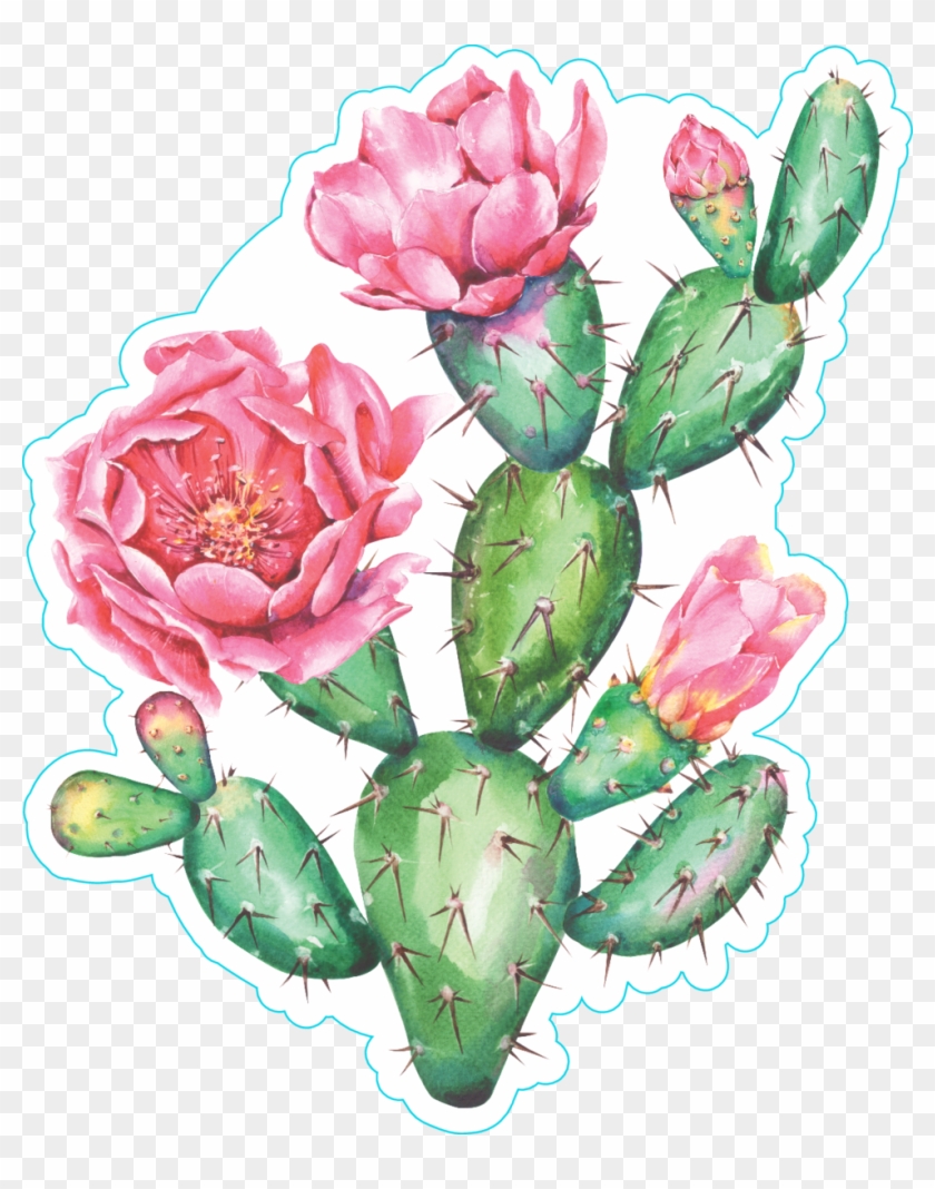 Download Watercolor Cactus With Beautiful Pink Flowers Sticker ...