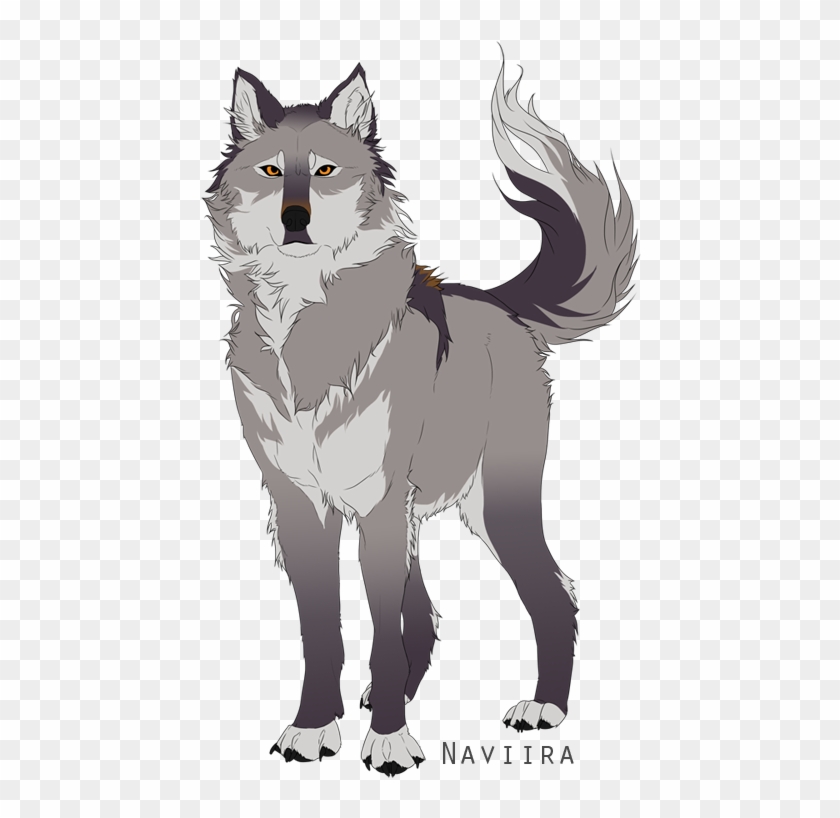 Grey Wolf Cartoon Png, Transparent Png - 500x752(#5904446) - PngFind