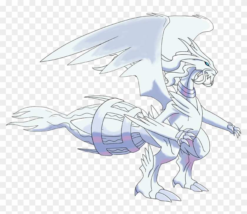 Mega Reshiram Pokemon Reshiram Mega Evolution Hd Png Download 800x649 5912347 Pngfind