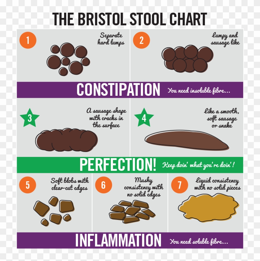 Bristol Stool Chart Cake