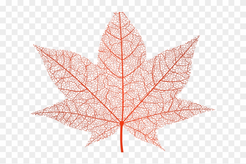 Autumn Leaves Clipart Clear Background Maple Leaf Hd Png Download 640x480 Pngfind Autumn Leaves Clipart Clear Background Maple Leaf Hd Png Download 640x480 Pngfind