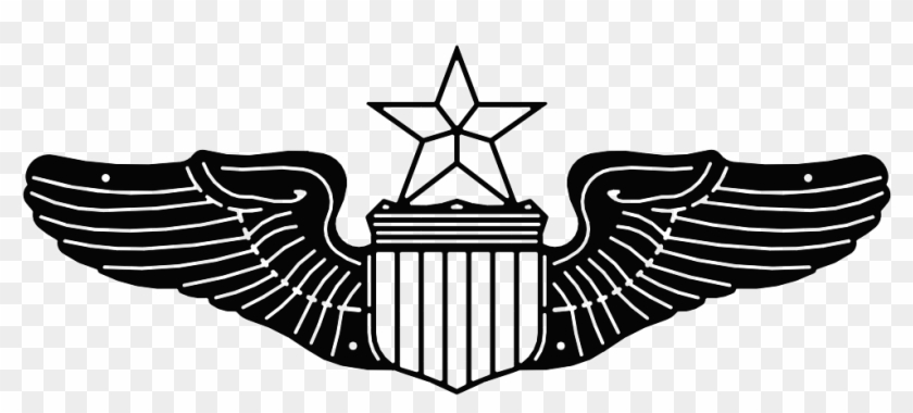 Featured image of post Recipe of Air Force Pilot Wings Png