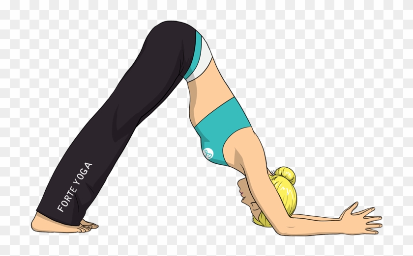Dolphin Pose Yoga Png, Transparent Png - 900x675(#5972066) - PngFind