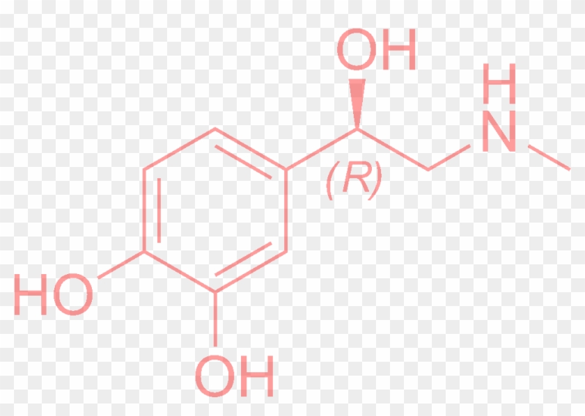 Im getting a tattoo and I want to make sure that this is in fact an adrenaline  molecule because I dont want to be one of those people with incorrect  tattoos 