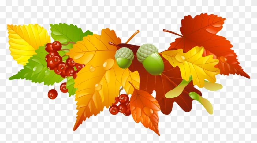 Picture Autumn Leaves And Acorns Decor Png Picture Host Clipart Transparent Png 1100x611 60443 Pngfind