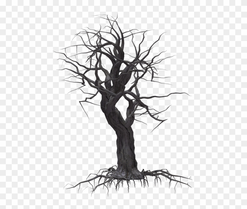 Creepy Tree Png Creepy Tree Transparent Png Download 1024x639 614 Pngfind Creepy Tree Png Creepy Tree Transparent Png Download 1024x639 614 Pngfind
