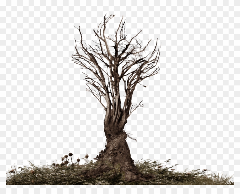 creepy dead tree sketch