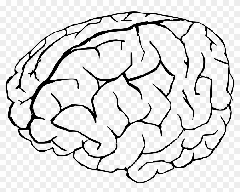 Cartoon Brain Png - Transparent Background Brain Clipart, Png Download - 2400x1814(#602619) - PngFind Cartoon Brain Png - Transparent Background Brain Clipart, Png Download - 2400x1814(#602619) - PngFind