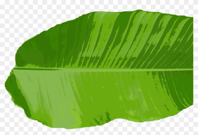 Banana Leaf Png, Transparent Png - 1176x750(#602956) - PngFind
