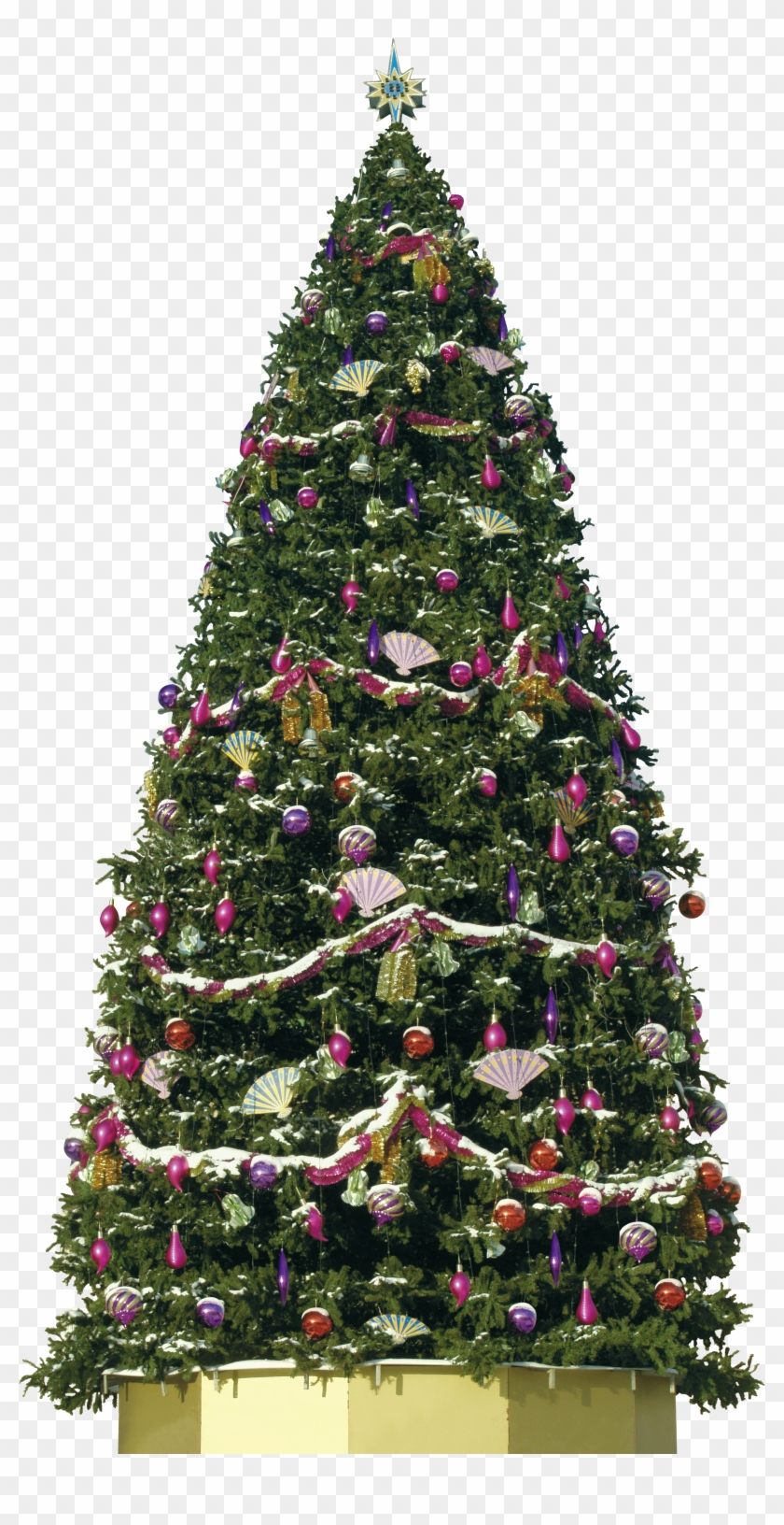 Pink Christmas Tree Png